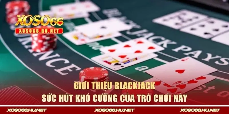 Giới thiệu blackjack và sức hút khó cưỡng của trò chơi này