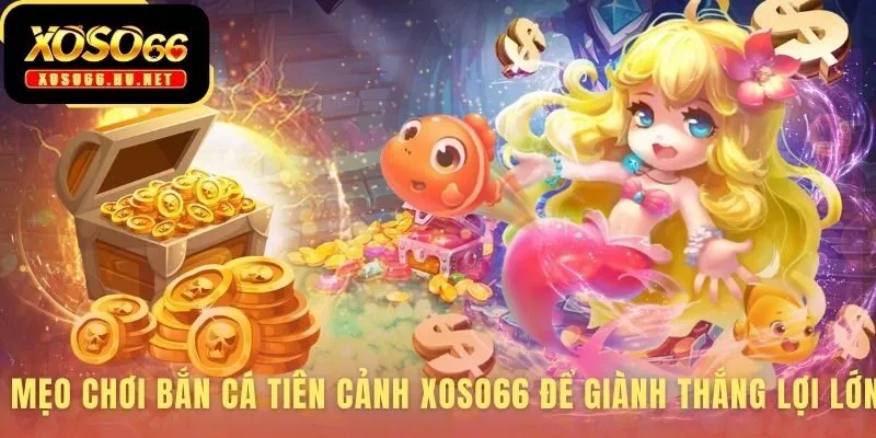 Kinh nghiệm chơi bắn cá tiên cảnh giúp bạn làm chủ cuộc săn